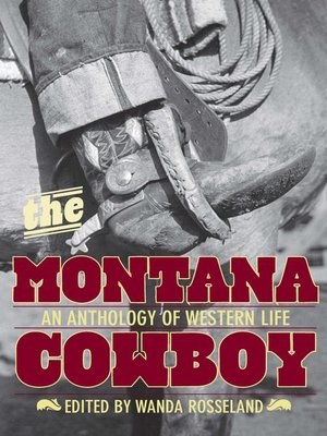 cover image of Montana Cowboy